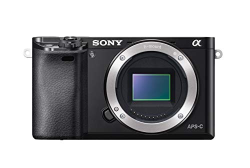 Sony A6000 - Cuerpo de cámara EVIL de 24 Mp (enfoque automático híbrido rápidovídeo Full HD, WiFi), negro