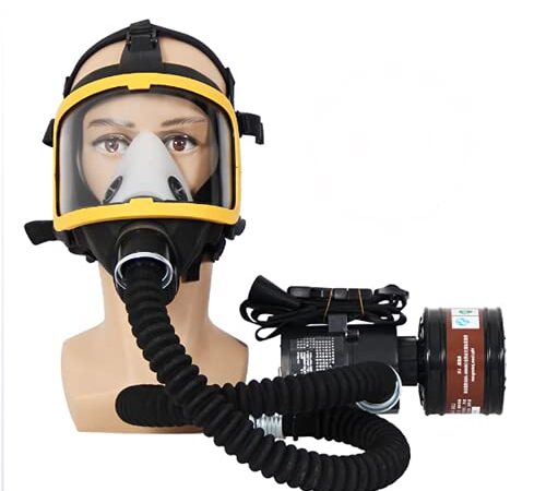 Máscara de gas de cara completa con suministro de aire de flujo constante eléctrico, herramienta de pintura en aerosol, dispositivo de sistema respiratorio, tubo de respiración ajustable